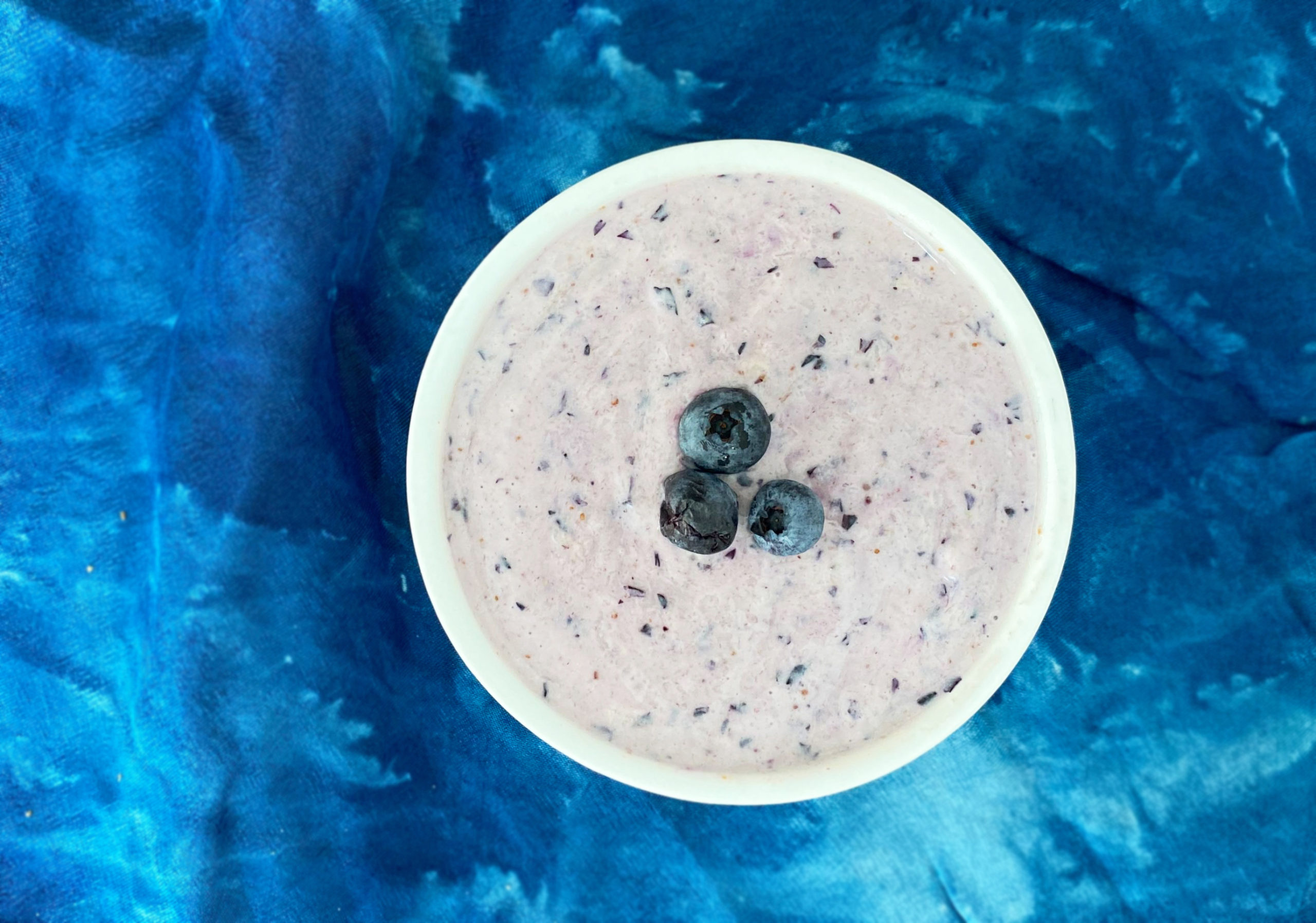 Shay Can Make Blueberry Dog Ice Cream